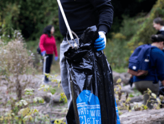 A volunteer cleaning a forest area.