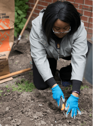 A volunteer planting.